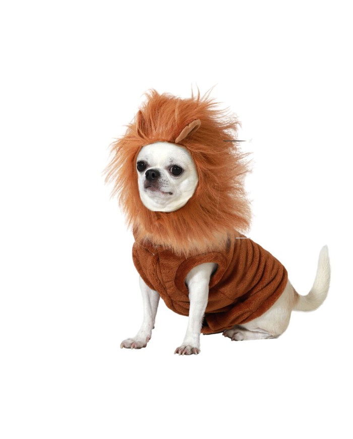 Costume per Cane Taglia S Leone Costume per Cane Taglia S Leone