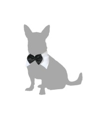 Costume per Cane Papillon M