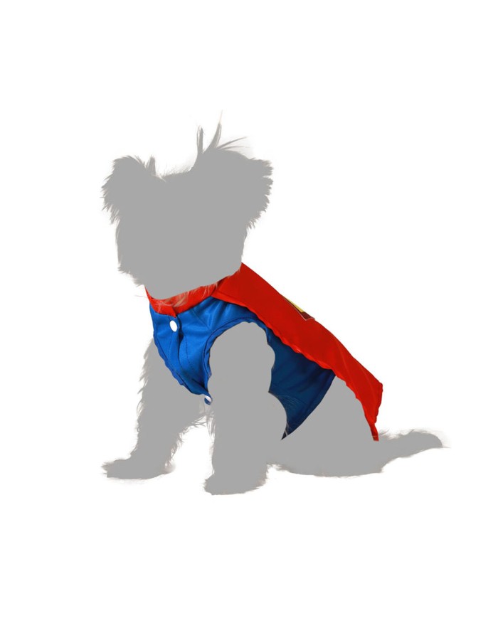 Costume per Cane Eroe di Fumetti