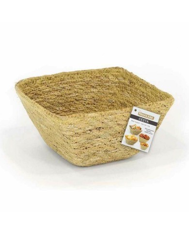 Cestino Multiuso Privilege Erba di mare Quadrato 12 x 12 x 7 cm (24 Unità) Cestino Multiuso Privilege Erba di mare Quadrato 12 x 12 x 7 cm (24 Unità)