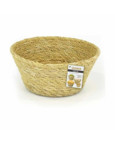 Cestino Multiuso Privilege Erba di mare Rotondo Rotonda 13 x 7 cm (24 Unità)