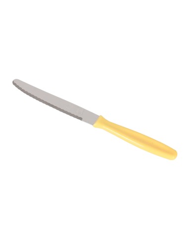 Set di Coltelli Quttin Basic 12,5 cm 6 Pezzi (12 Unità) Set di Coltelli Quttin Basic 12,5 cm 6 Pezzi (12 Unità)