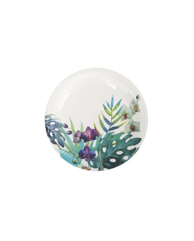 Set di piatti Algon Monouso Cartone Tropicale 12 Pezzi 18 cm (24 Unità)