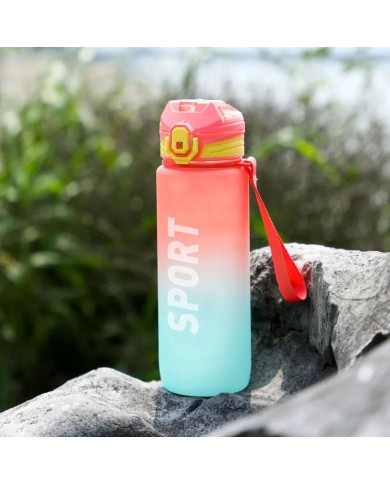 Bottiglia con Tappo e Cannuccia Bewinner Multicolore 800 ml