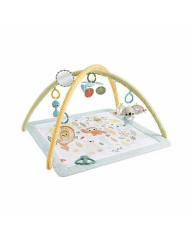 Tappeto da gioco Fisher-Price Plastica