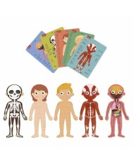 Puzzle Apli 19438 35 x 75 x 24 cm Corpo umano 240 Pezzi