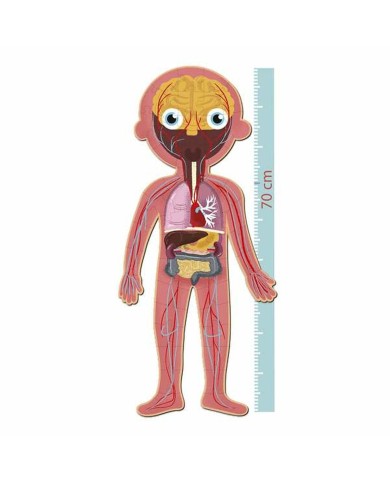 Puzzle Apli 19438 35 x 75 x 24 cm Corpo umano 240 Pezzi Puzzle Apli 19438 35 x 75 x 24 cm Corpo umano 240 Pezzi