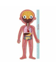 Puzzle Apli 19438 35 x 75 x 24 cm Corpo umano 240 Pezzi