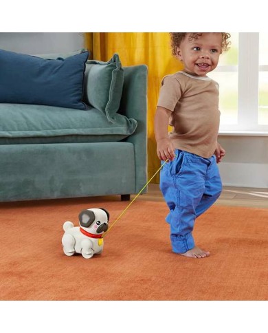 Cane Interattivo Fisher Price