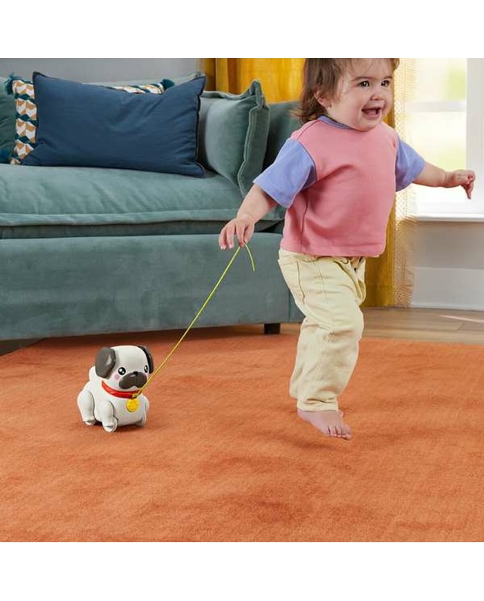 Cane Interattivo Fisher Price Cane Interattivo Fisher Price