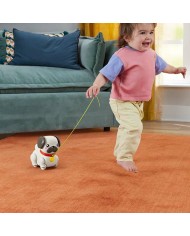 Cane Interattivo Fisher Price Cane Interattivo Fisher Price