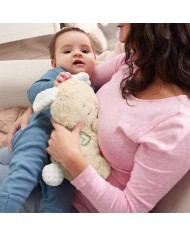 Peluche con Suono Fisher Price Coniglio Plastica Peluche con Suono Fisher Price Coniglio Plastica