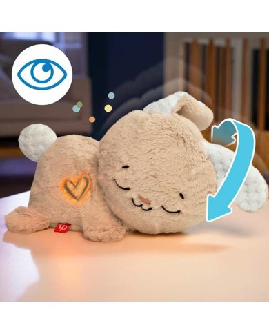 Peluche con Suono Fisher Price Coniglio Plastica Peluche con Suono Fisher Price Coniglio Plastica