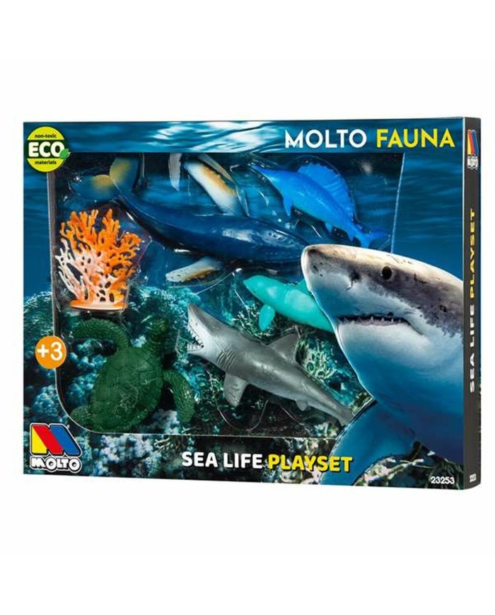 animali Moltó animali Moltó