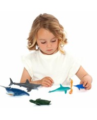 animali Moltó animali Moltó