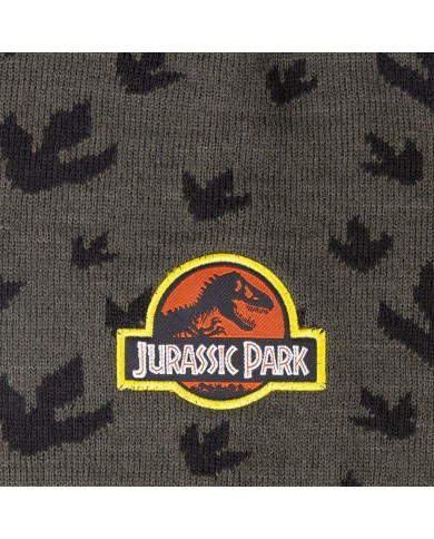 Berretto per Bambini Jurassic Park Berretto per Bambini Jurassic Park