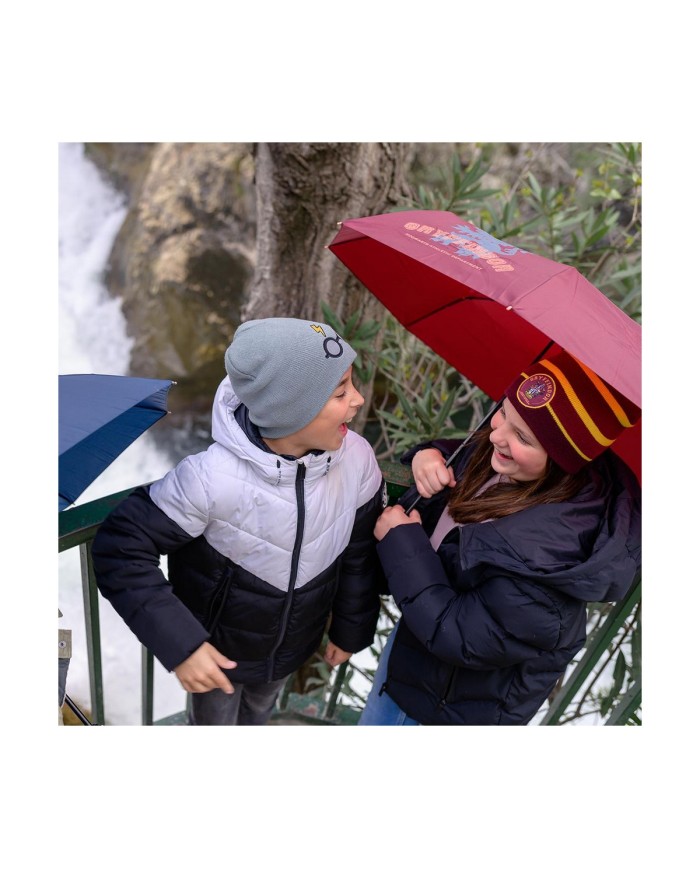 Ombrello Pieghevole Harry Potter (Ø 97 cm)