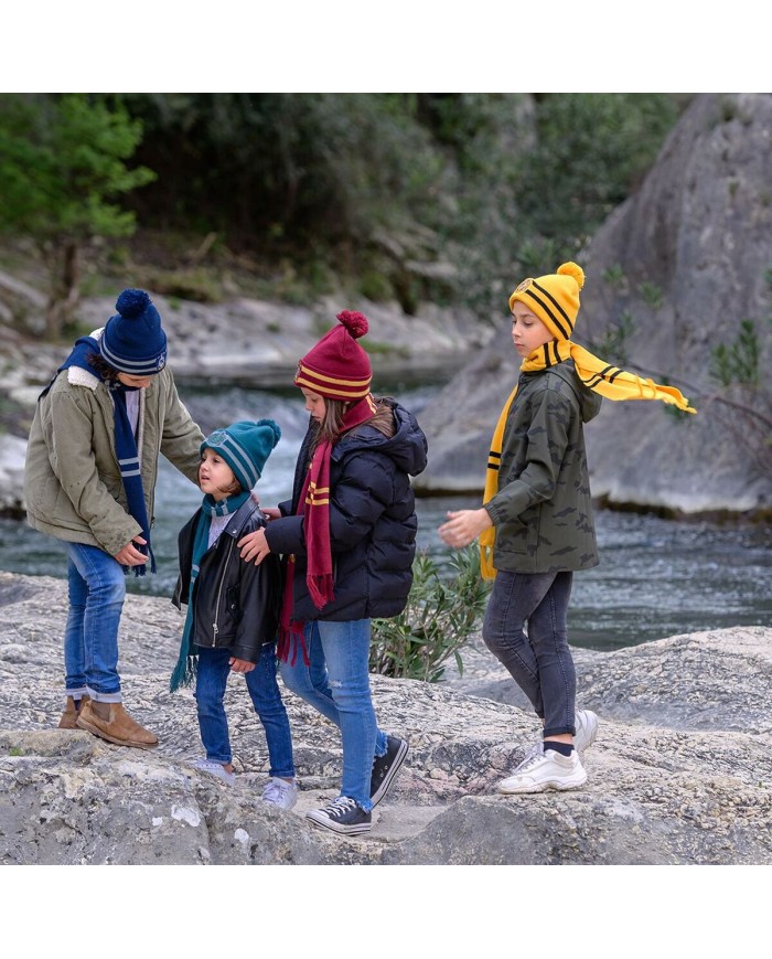 Berretto e Sciarpa Harry Potter Dark Green Berretto e Sciarpa Harry Potter Dark Green