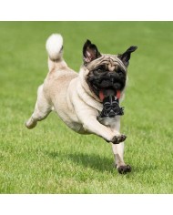 Giocattoli per cani Star Wars Nero