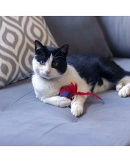 Giocattolo per gatti Spider-Man Giocattolo per gatti Spider-Man