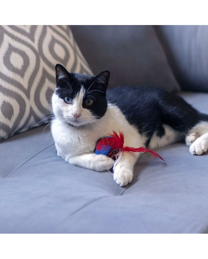Giocattolo per gatti Spider-Man