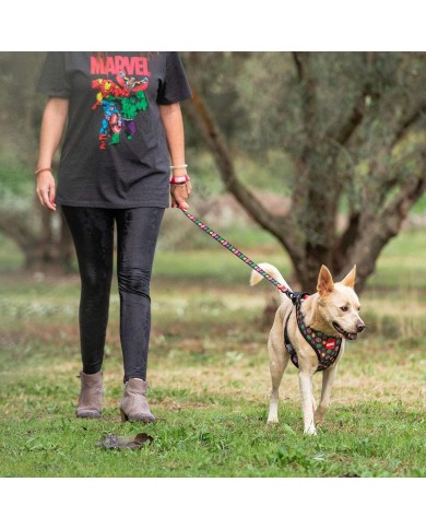 Guinzaglio per Cani Marvel
