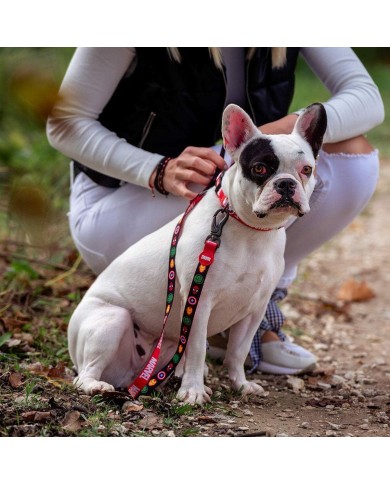 Guinzaglio per Cani Marvel