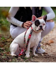Guinzaglio per Cani Marvel Guinzaglio per Cani Marvel