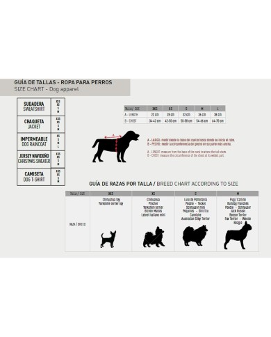 Collare per Cani Disney