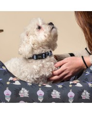 Collare per Cani Disney Villains Grigio Collare per Cani Disney Villains Grigio