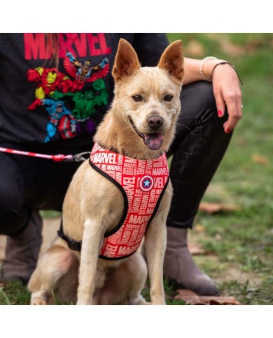 Imbracatura per Cani Marvel M/L