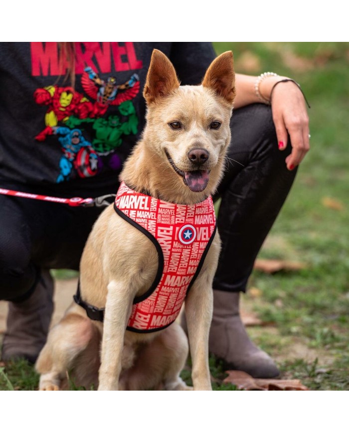 Imbracatura per Cani Marvel M/L Imbracatura per Cani Marvel M/L