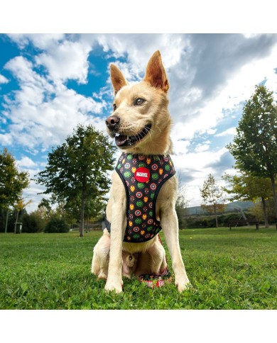 Imbracatura per Cani Marvel M/L