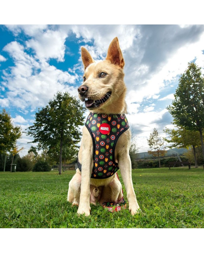 Imbracatura per Cani Marvel M/L Imbracatura per Cani Marvel M/L