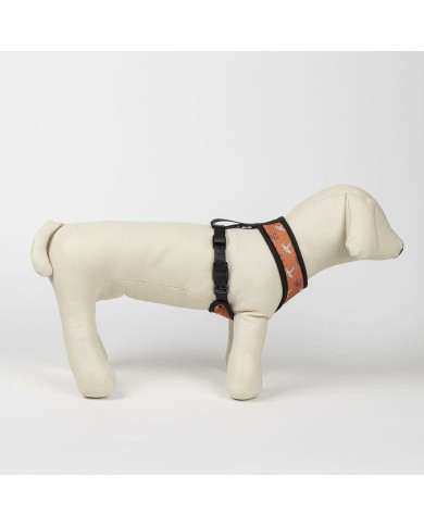 Imbracatura per Cani Star Wars Reversibile