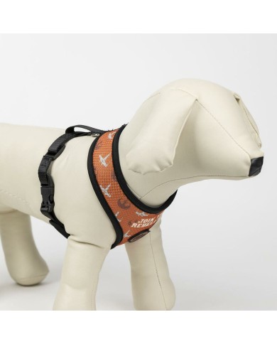 Imbracatura per Cani Star Wars Reversibile