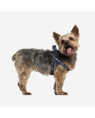 Imbracatura per Cani Star Wars Nero Imbracatura per Cani Star Wars Nero