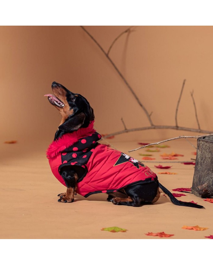 Cappotto per Cani Minnie Mouse Rosso L Cappotto per Cani Minnie Mouse Rosso L