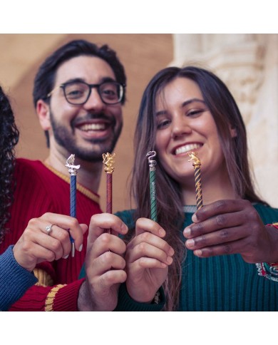 Penna Harry Potter Penna Harry Potter