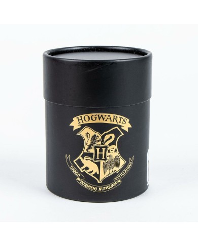 Calzini Harry Potter