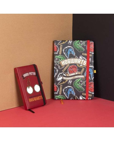 Taccuino Harry Potter Multicolore