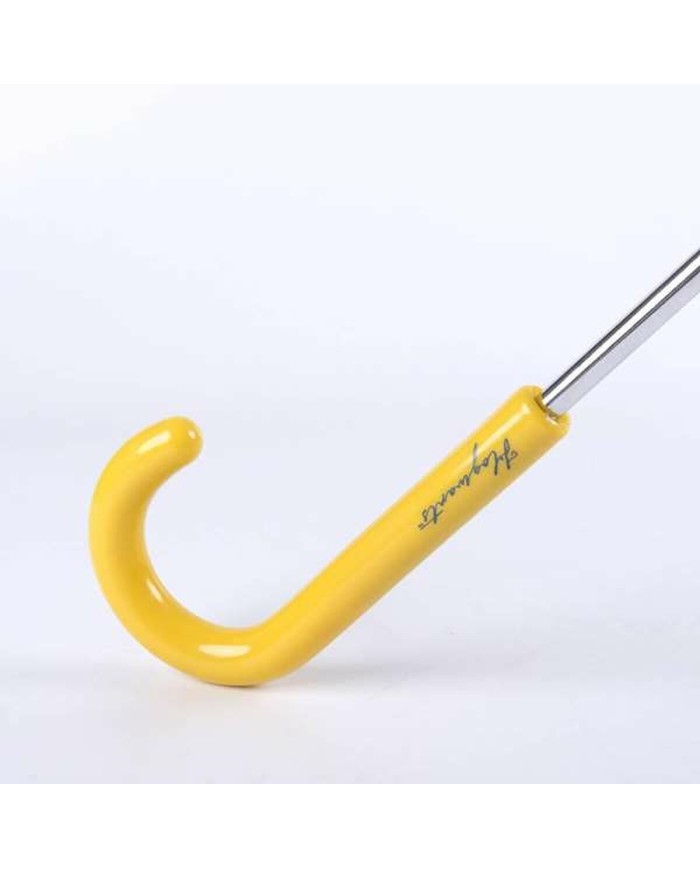 Ombrelli Harry Potter Azzurro 100 % POE Ombrelli Harry Potter Azzurro 100 % POE