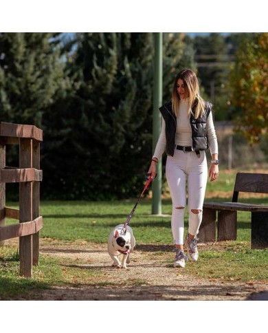 Guinzaglio per Cani DC Pets