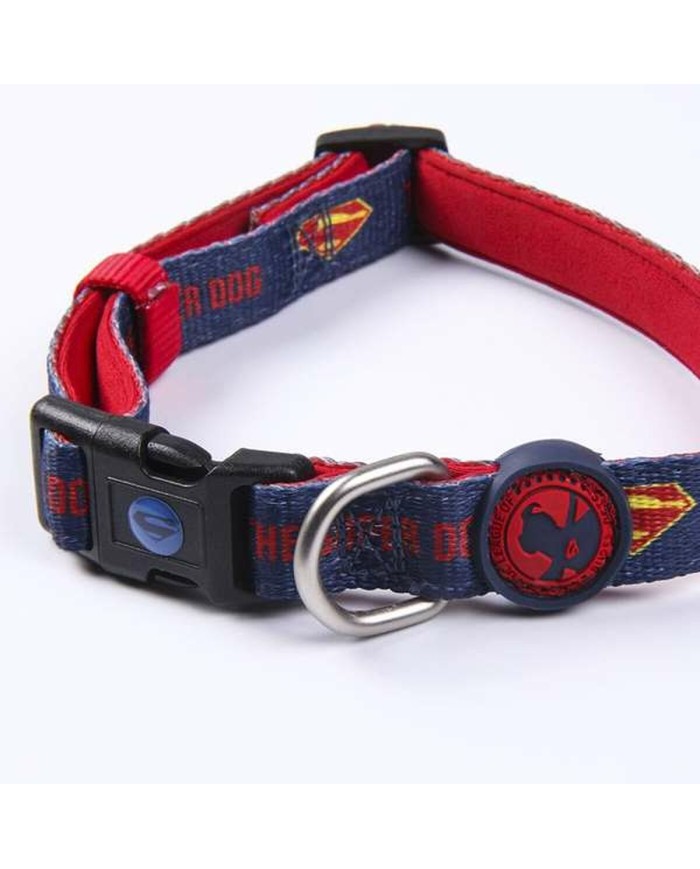 Collare per Cani DC Pets