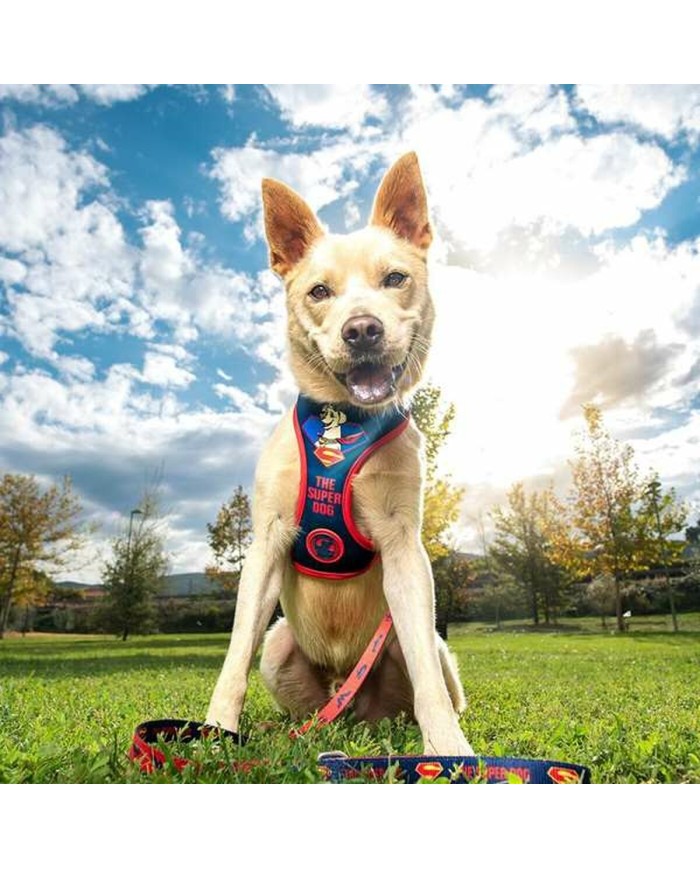 Imbracatura per Cani DC Pets Imbracatura per Cani DC Pets