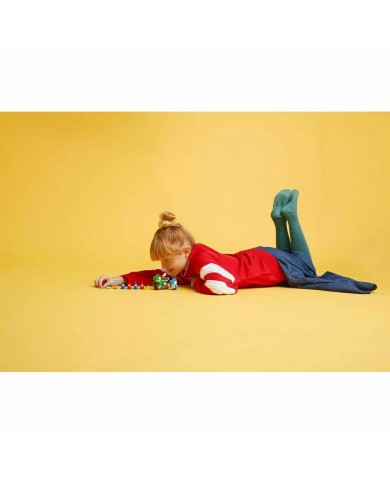 Set di Costruzioni Lego