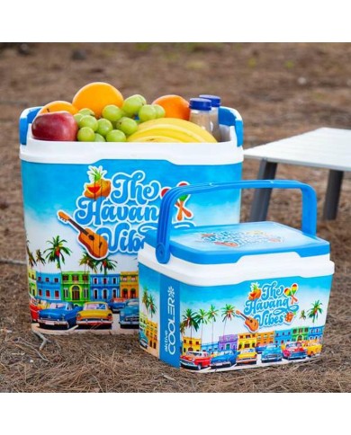 Frigo Portatile Aktive The Havana Vibes 24 L