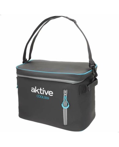 Frigo Portatile Aktive 18 L 34 x 21 x 26 cm