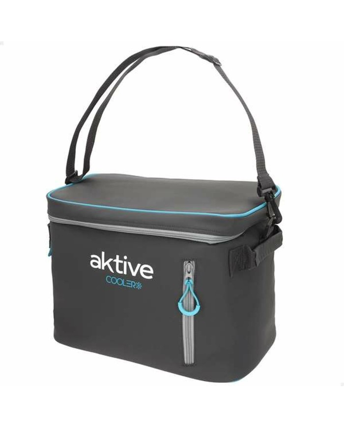 Frigo Portatile Aktive 18 L 34 x 21 x 26 cm