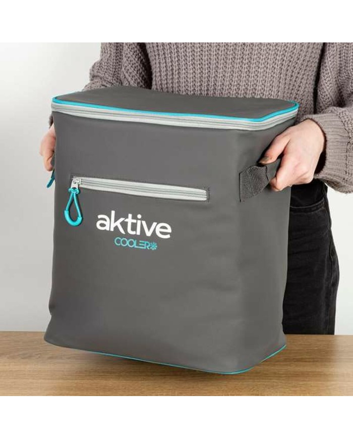 Frigo Portatile Aktive 23 L 30 x 22 x 35 cm